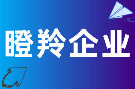 什么是“瞪羚企业”，如何申报？有何特征？认定条件是什么？