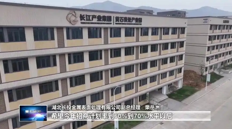 重金属指标齐全+区位优势！湖北电镀产业园，国企运营武汉都市圈表处园招租