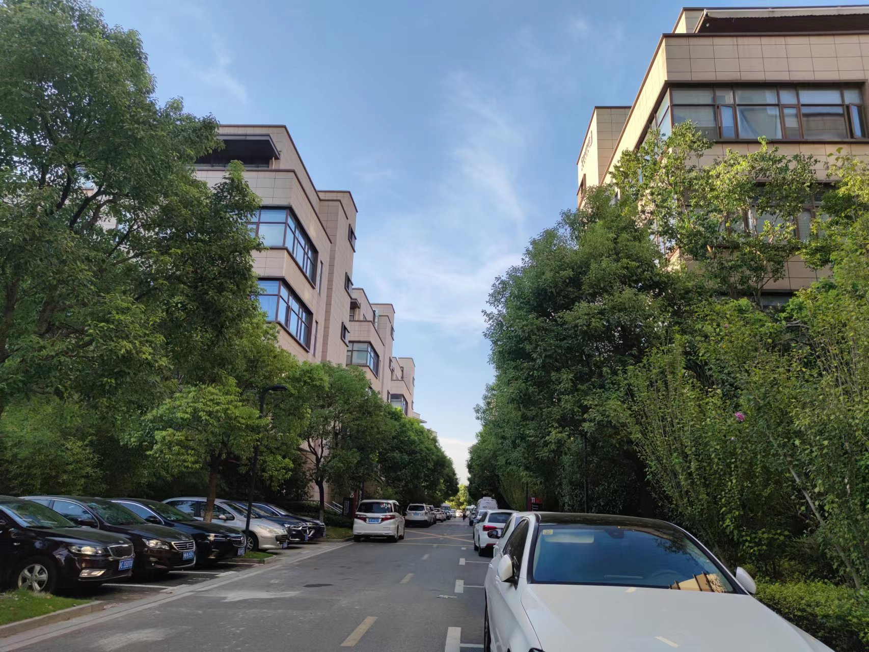 浦江镇独栋1-4层3480m² 可做研发办公一体 整栋可分割