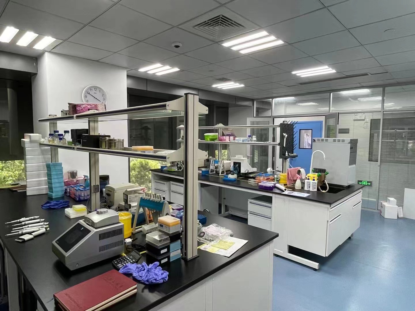 张江科学城，地铁旗舰科创中心，实拍1千平基因检测实验中心转让