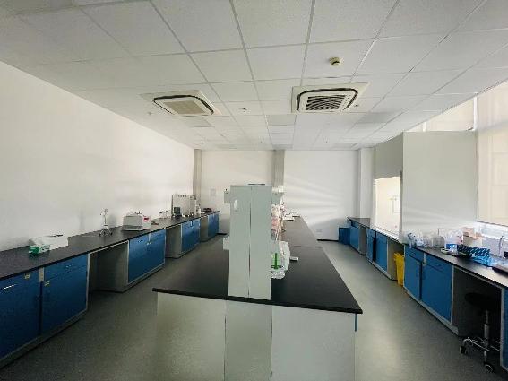 上海浦东张江科学城，3百平800平，医药器械芯片智能研发办公