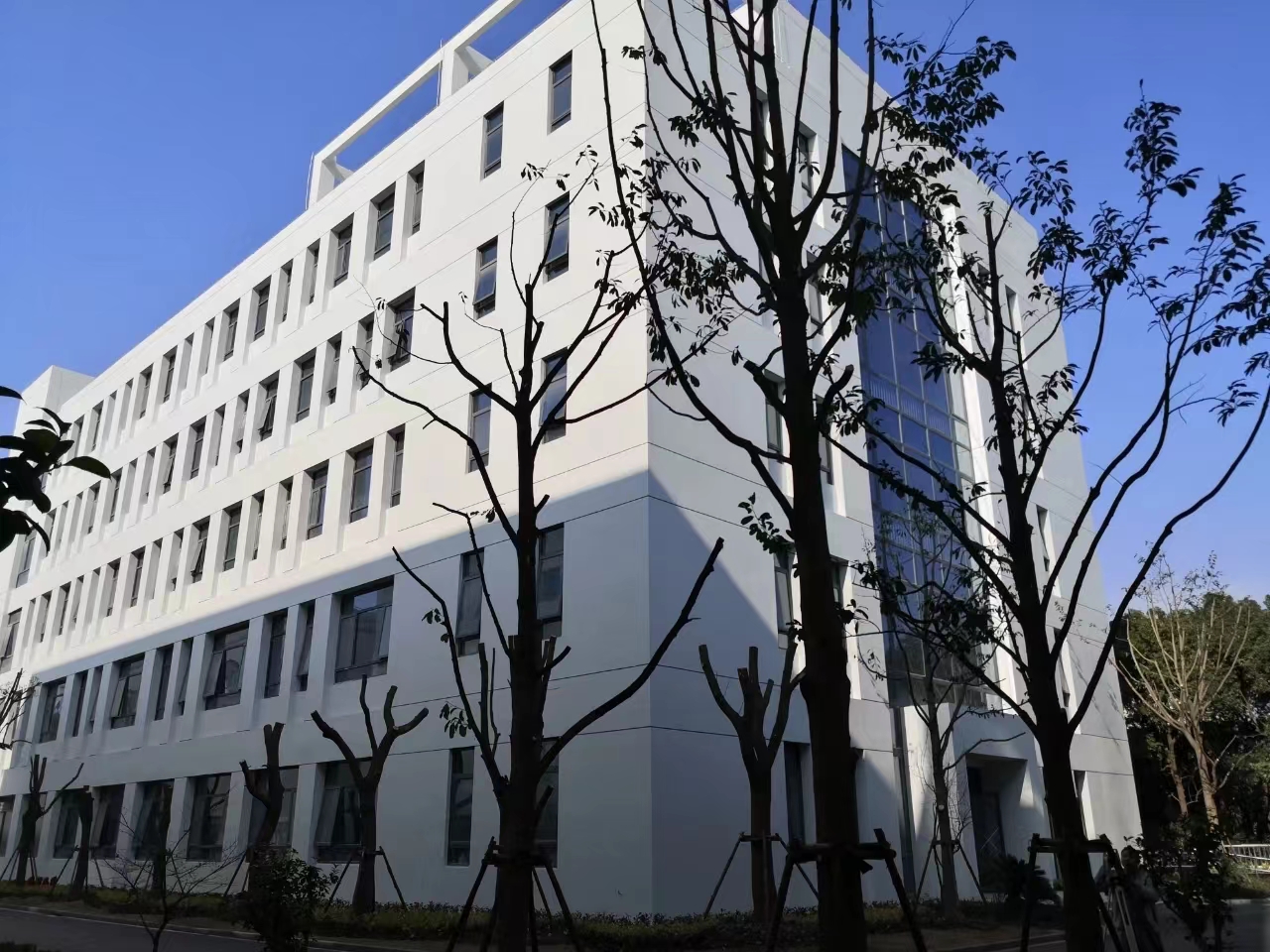 药谷全新实验室！细胞房分子间P2实验室，全装修，入驻即可研发