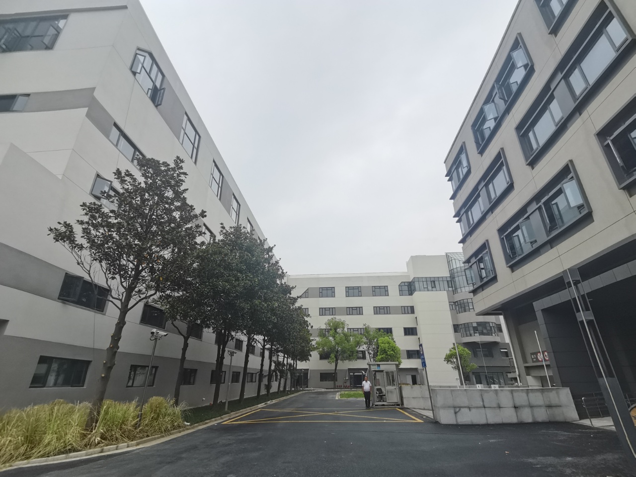 金桥自贸区!一楼可分租。标准研发厂房无地下，适半导体材料研发