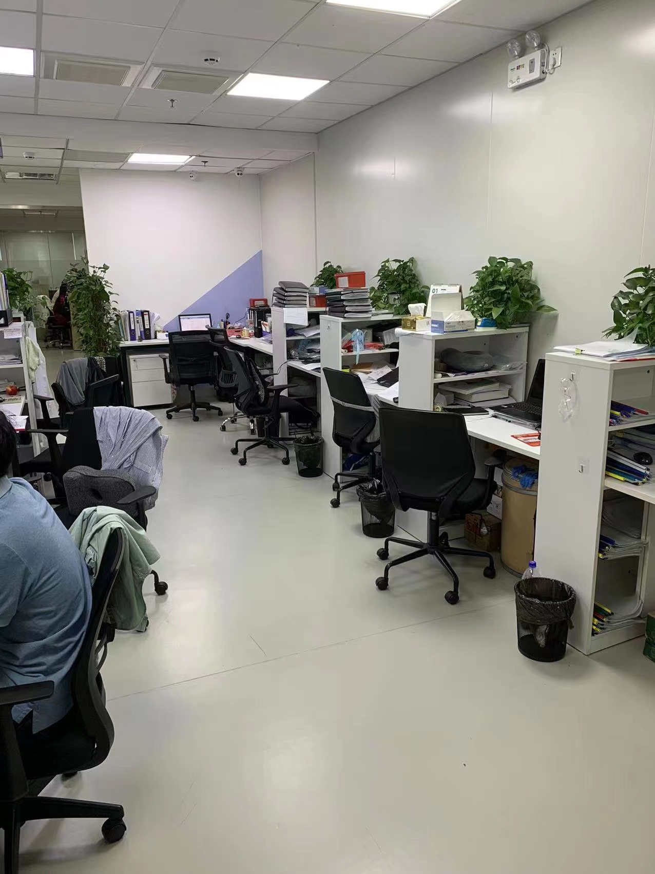 浦东周浦孵化器！医谷整层精装244平研发实验室通风橱上下水实验