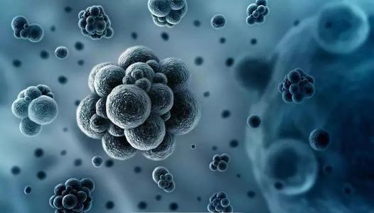 全国政协常委傅育宁联署提案 保障国家生物安全！