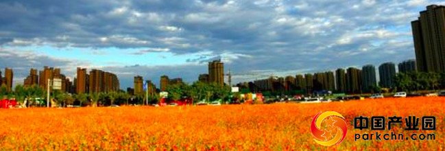 沈阳招商引资优惠政策