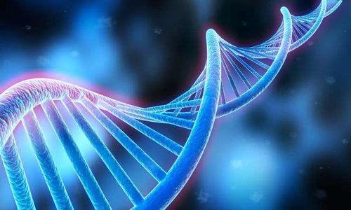 《宁波市生物医药产业集群发展规划（2021-2025年）》印发，加大生物医药产业招