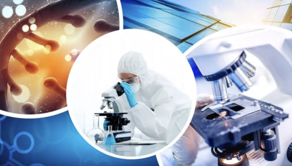 生物医药企业选址参考，国内各地生物医药产业园租金标准