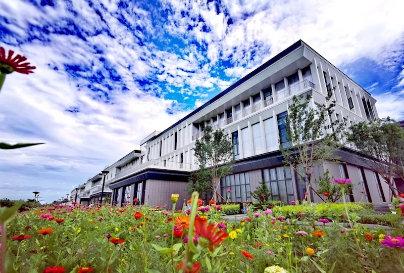 北京大兴国际机场自贸区创新服务中心