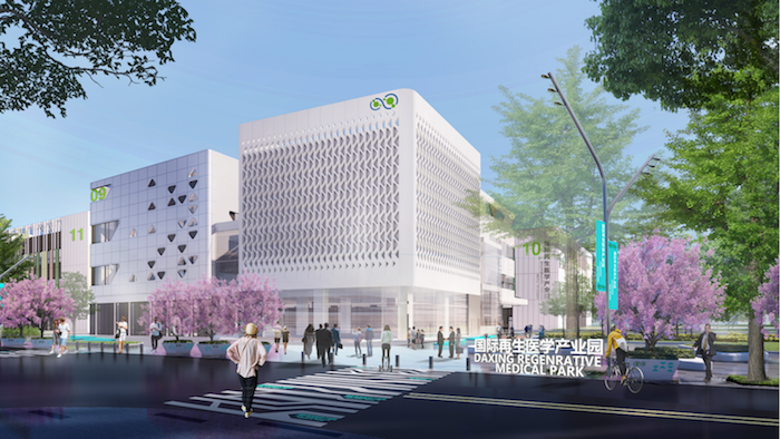 北京大兴临空经济区再添两大引擎：国际航空总部园与国际再生医学产业园即将