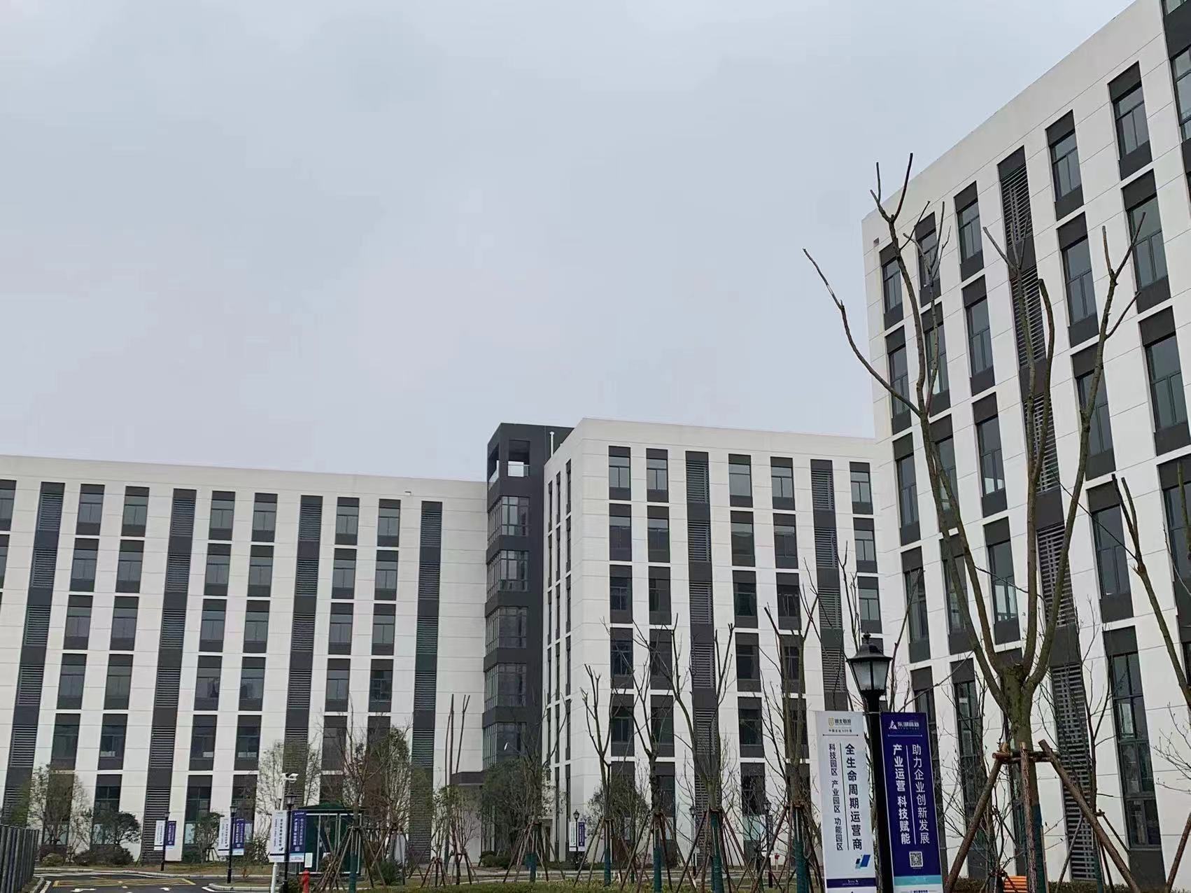 东湖高新中