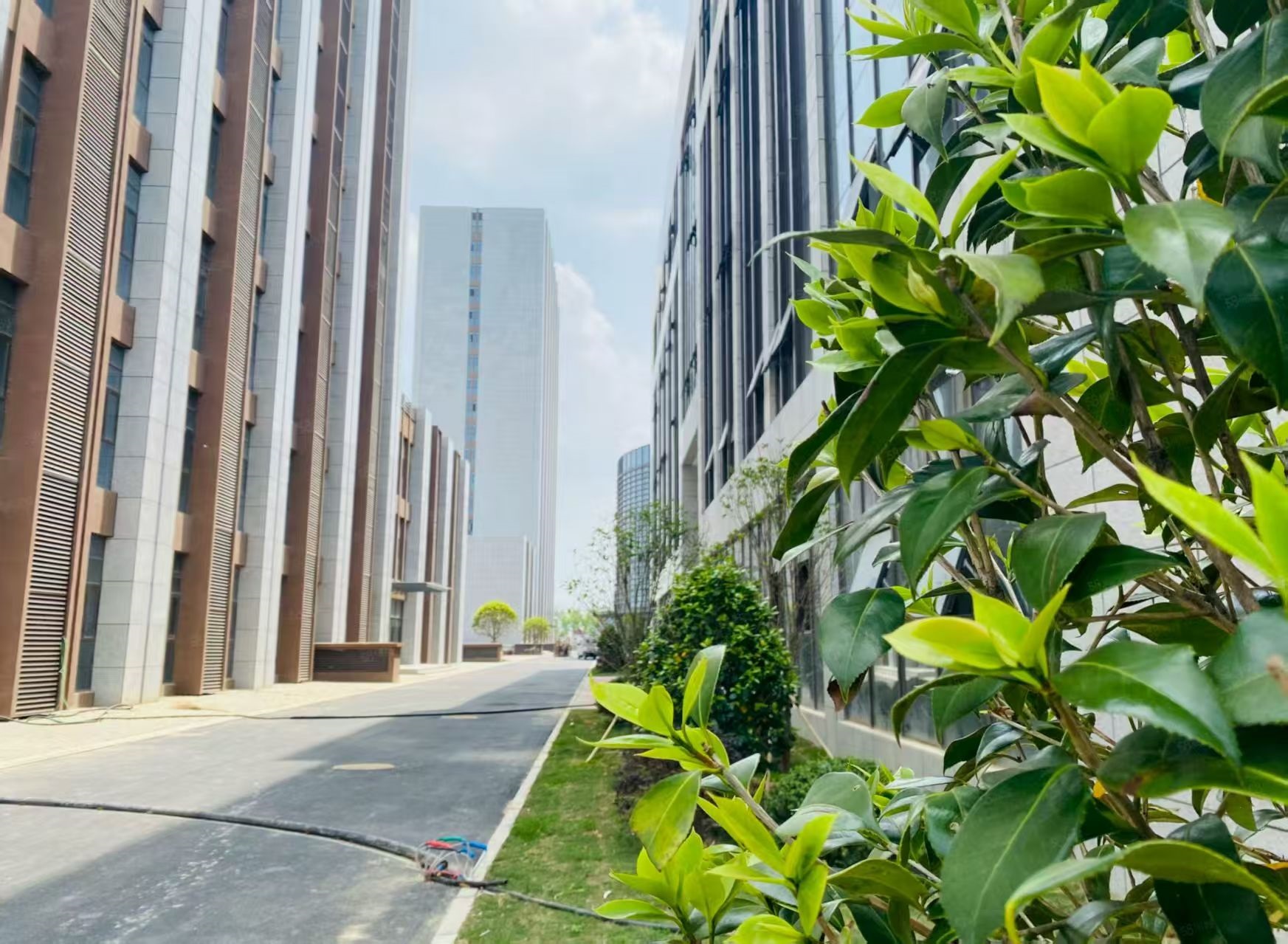 太和青网科技园百平招商