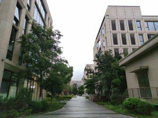 @张江科学城可实验室 有环评 独栋2000平 13号中科路站