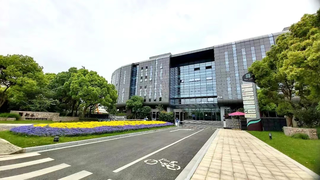 外高桥，生