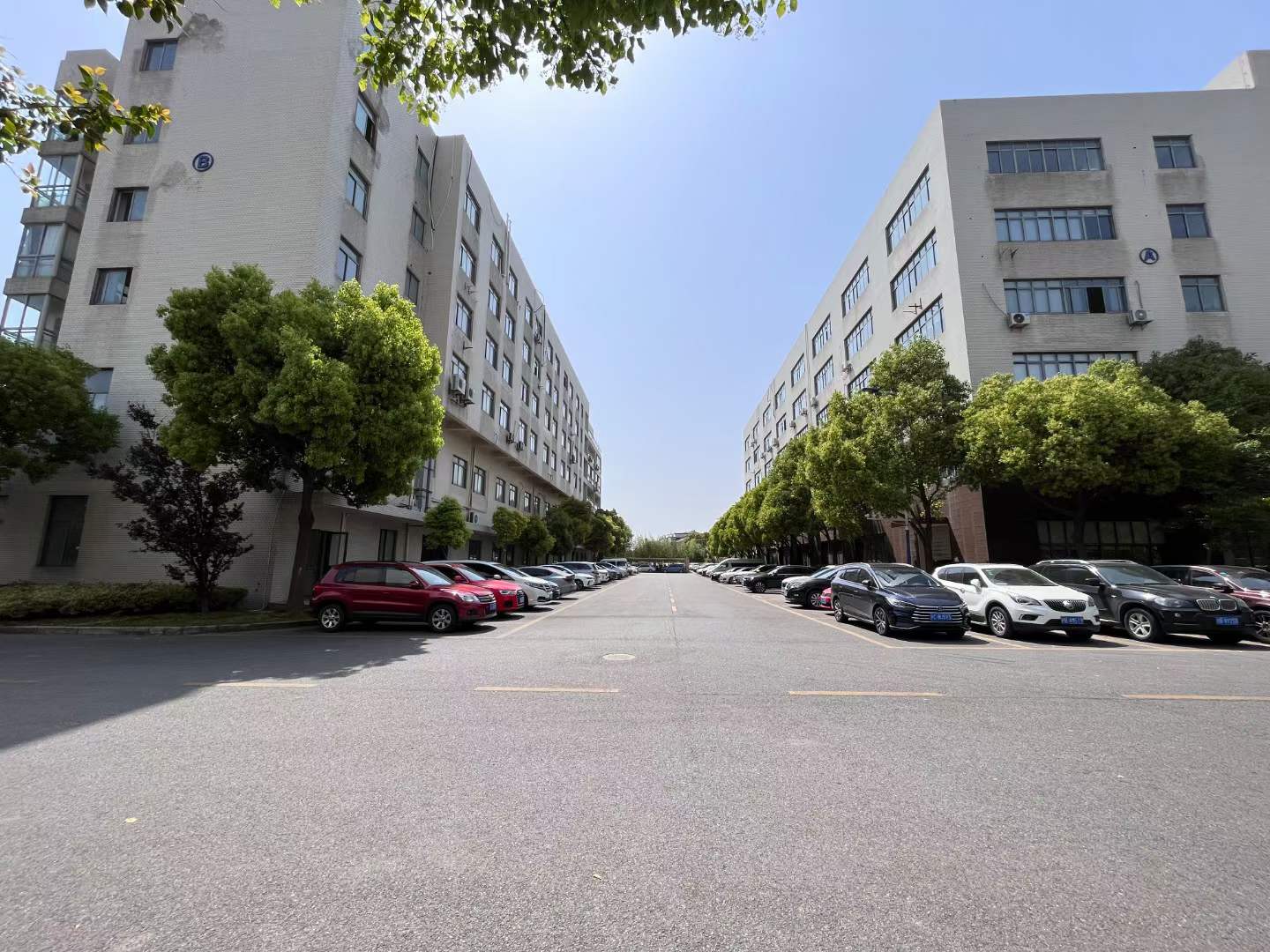 上海周浦国际医学园区，独栋4层6千平，整层1500平可分割出租