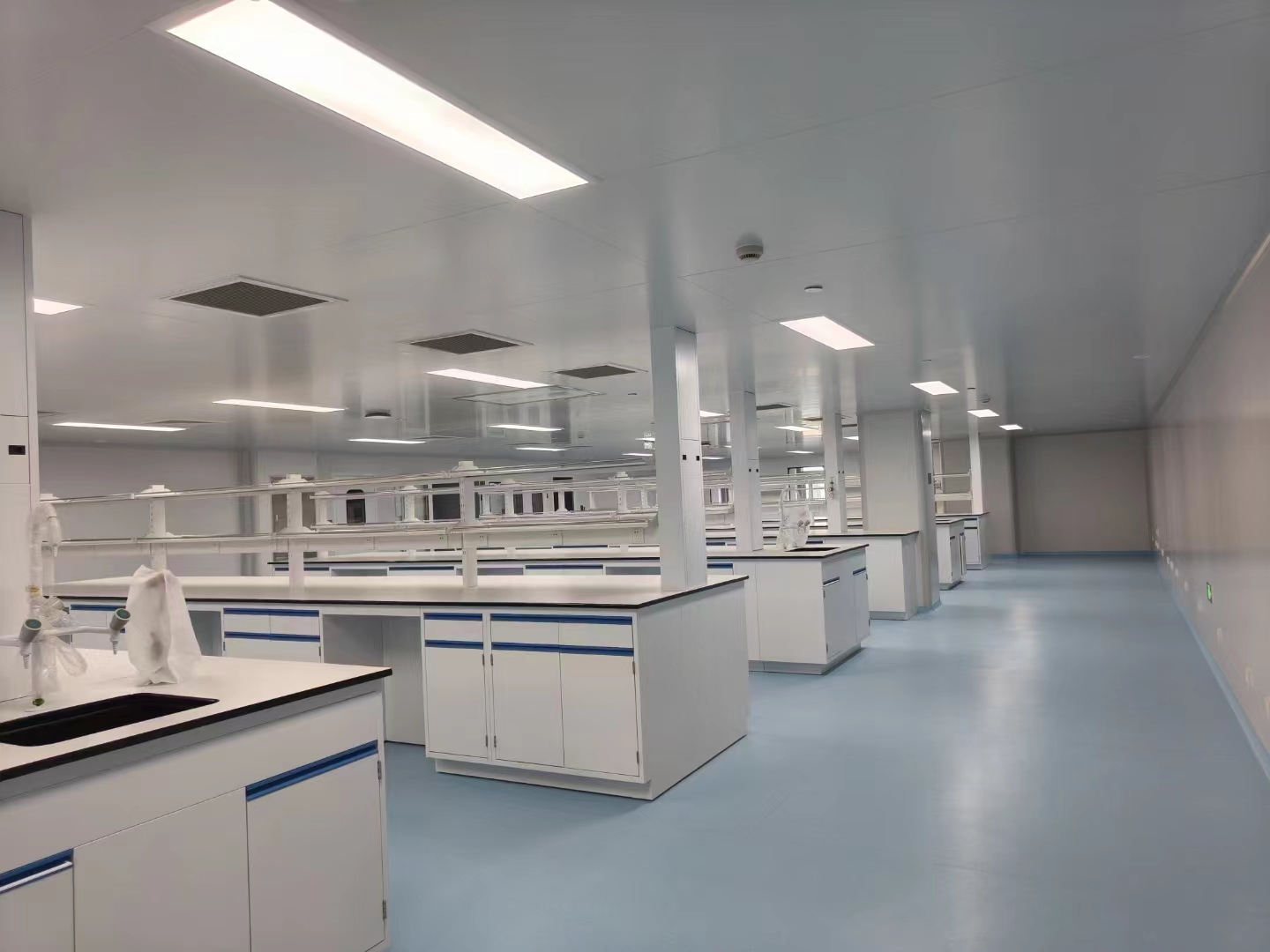 张江可分租@药谷全新@研发实验室@细胞房@分子实验室@办公室