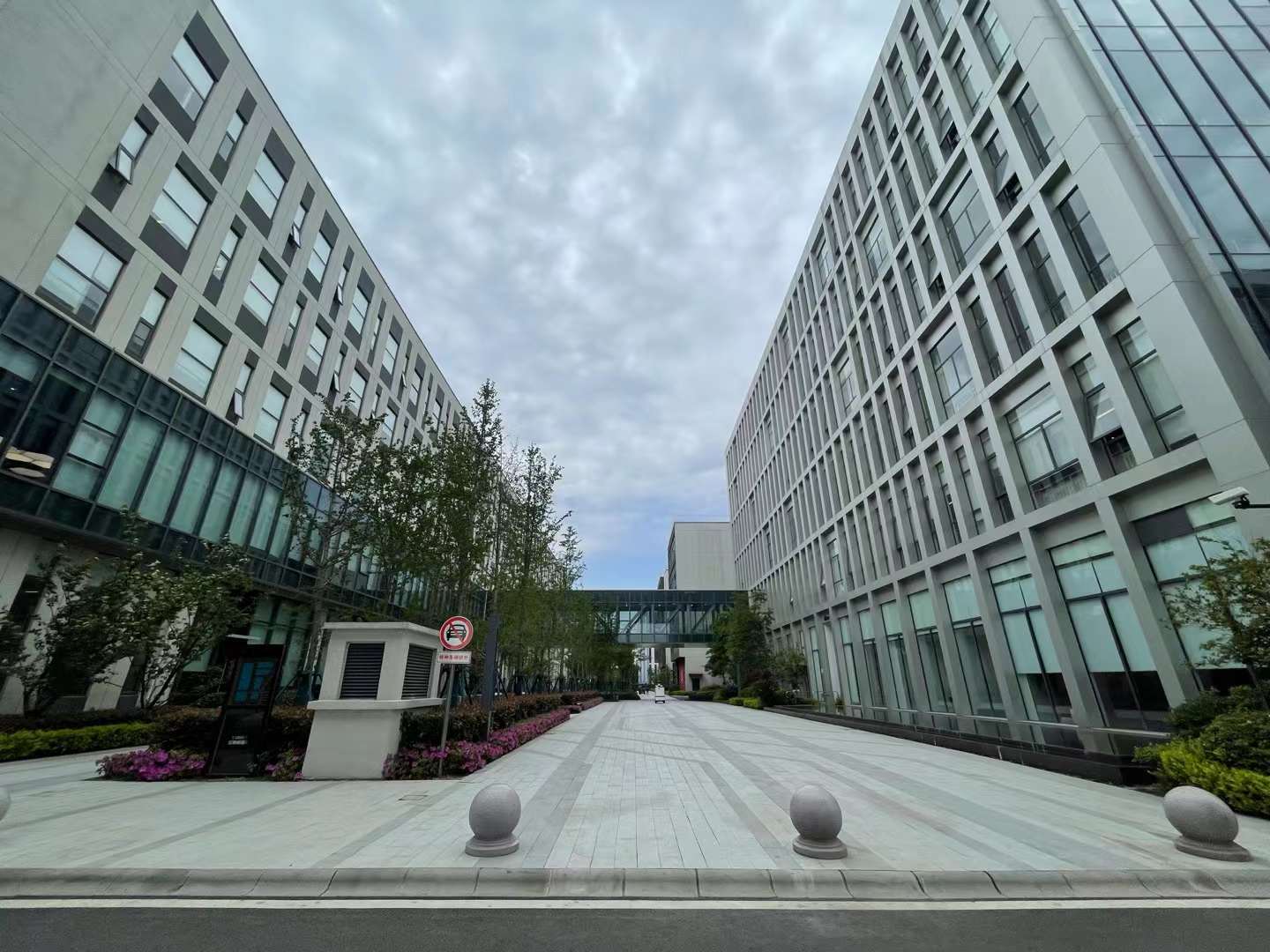 闵行。马桥